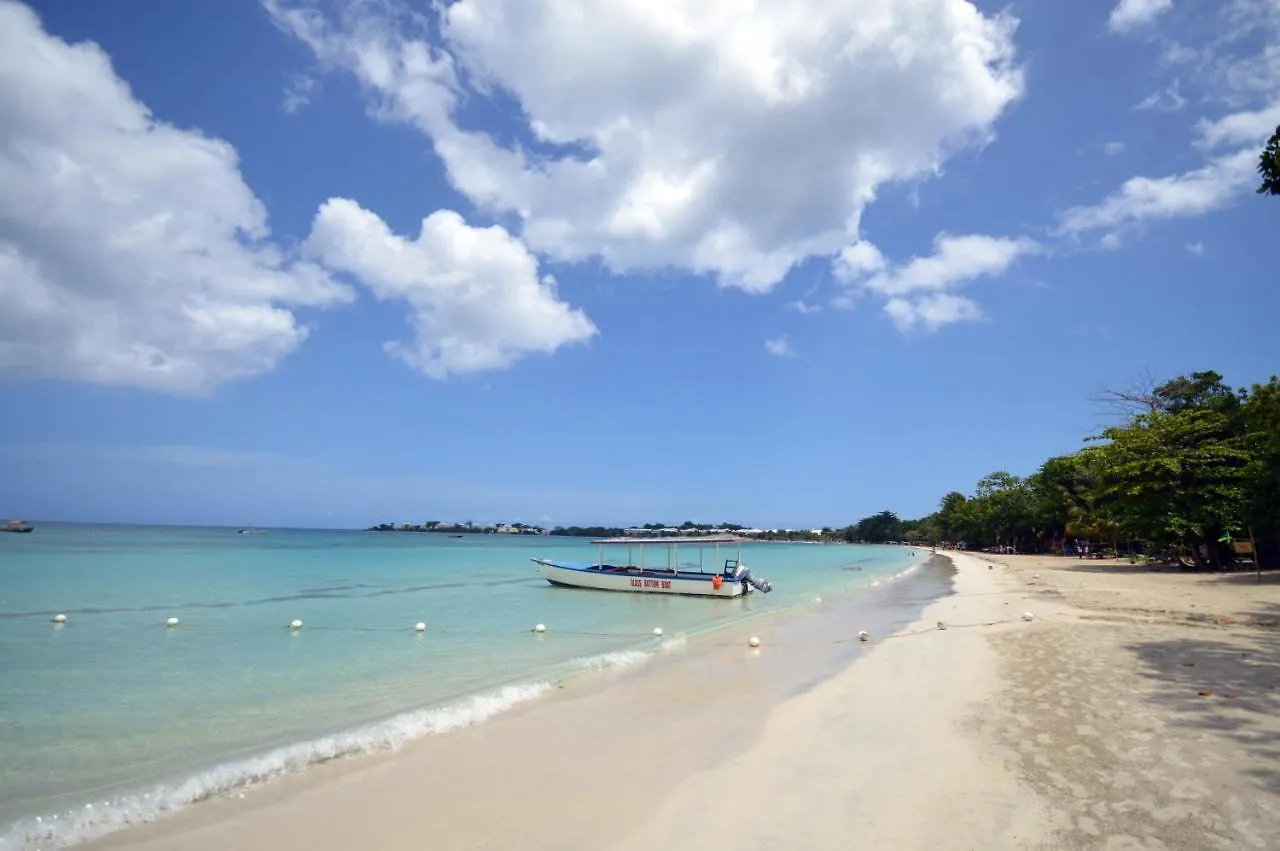 Sunset At The Palms Resort (Adults Only) Negril